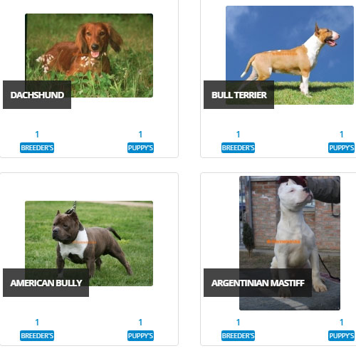 KCI Registered Dog Breeders List in 