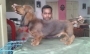 red male long haired dachshund in calcutta